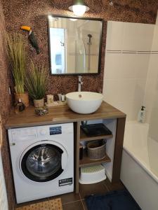 y baño con lavadora y lavamanos. en Lodge Du Petit Lion proche DISNEYLAND PARIS, en Montévrain
