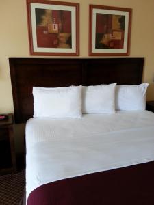 1 cama con sábanas blancas y almohadas en una habitación de hotel en Americas Best Value Inn Bryant, en Bryant