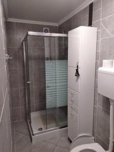 ein Bad mit einer Dusche, einem WC und einem Waschbecken in der Unterkunft Koba in Bački Monoštor