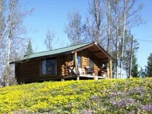 a log cabin on top of a hill with flowers at Nimpo Lake Resort in Nimpo Lake