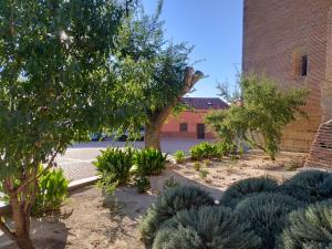 un jardin avec des arbres et des plantes devant un bâtiment dans l'établissement Casa Rural EL RINCÓN DE LA MORAÑA, à Fuente el Sauz