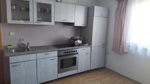 a kitchen with white cabinets and a sink and a stove at Mini Farm Adi in Cazin