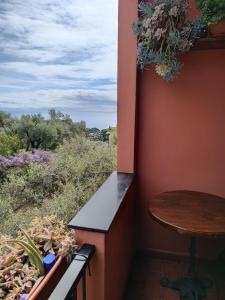 Afbeelding uit fotogalerij van Villa Caribe affittacamere in Monterosso al Mare