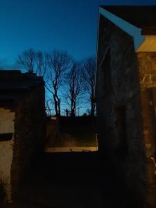 a view of trees from a house at night at Redington House SelfCatering accommodation in Cobh