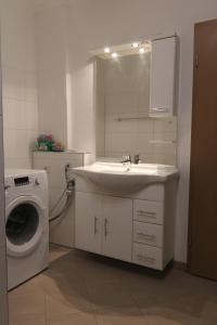 a bathroom with a sink and a washing machine at Landhaus Schlossblick in Sangerhausen