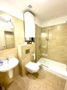 ママイアにあるSunshine Apartament De Silvaのバスルーム(洗面台、トイレ、シャワー付)