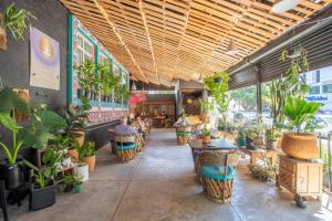 Un jardín fuera de Hostal La Paz & Love Guadalajara
