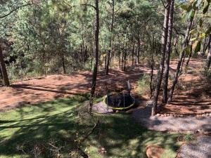 Un jardín fuera de Cabañas San Marcos