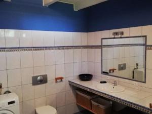 a bathroom with a sink and a mirror and a toilet at House with private beach by the lake, whirlpool in Nadole +22 photos