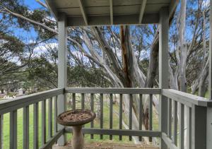 a porch with a chair and a tree at Snowgums 10 in Dinner Plain