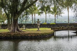 Gallery image of Tropical Dolphin B in Pahoa