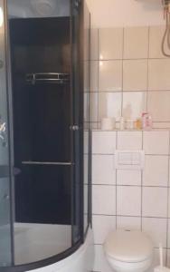 a bathroom with a toilet and a glass shower at Apartments Rado - close to the sea in Tkon