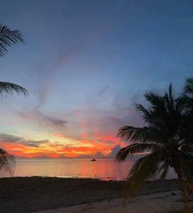 a sunset on a beach with a palm tree at Kobe's Beachfront Haven in Siquijor