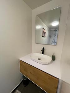 een badkamer met een wastafel en een spiegel bij Vakantiehuis FijnDomein - vlak bij de Efteling in Dongen