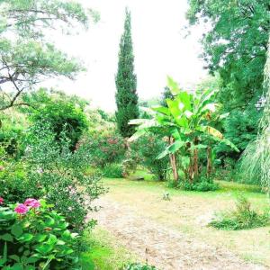 een tuin met bloemen en bomen en een onverharde weg bij Gite Matilon, 5 min Eugénie les Bains in Buanes