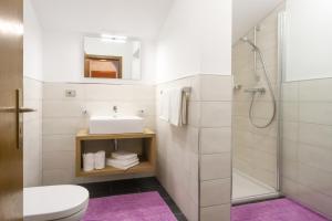 a bathroom with a shower and a toilet and a sink at Traterhof-Spinges in Mühlbach