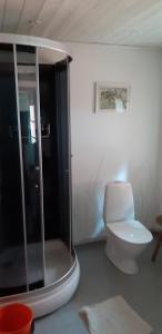 a bathroom with a toilet and a glass shower at Ladan in Katrineholm
