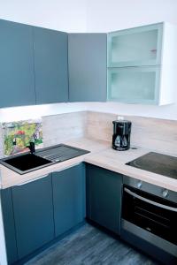 a kitchen with blue cabinets and a sink at Roubaix Gare wifi métro musée calme confort 6 lits - Gite le Ferrum in Roubaix