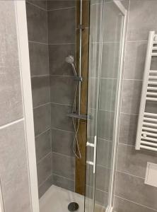um chuveiro com uma porta de vidro na casa de banho em LE NATUREL em Longeville-lès-Metz