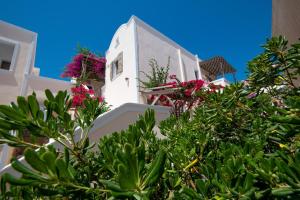 Foto dalla galleria di Enjoy Villas a Kamari Altre 13 foto