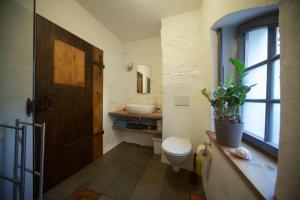 a bathroom with a toilet and a sink and a window at RenaissanceStuben in Torgau