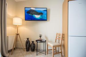 A television and/or entertainment centre at Elena's apartment 3