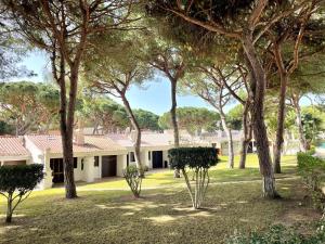 un grupo de árboles frente a una casa en Falesia Beach House, en Albufeira
