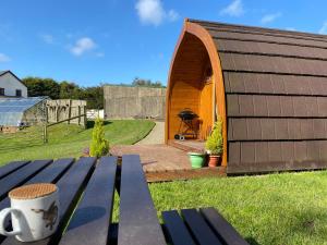 Garden Cottage Glamping Pod外面的花园