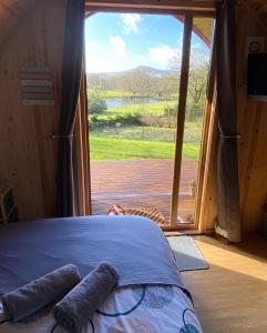 Bett in einem Zimmer mit Blick auf ein Fenster in der Unterkunft Garden Cottage Glamping Pod in Boncath