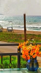 Gallery image of Socrates sea view in Kámpos