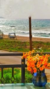 a blue vase filled with orange flowers next to a beach at Socrates sea view in Kámpos