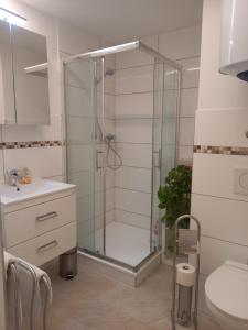 a bathroom with a shower and a toilet and a sink at Holiday Oasis Appartements in Villach