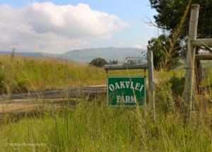 a green sign in the middle of a field at Milky Lane Cottage in Mooirivier