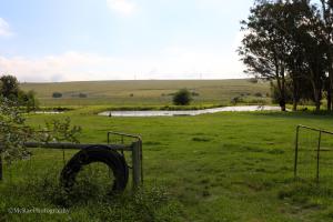 莫里维尔米尔奇雷恩农家乐的相册照片