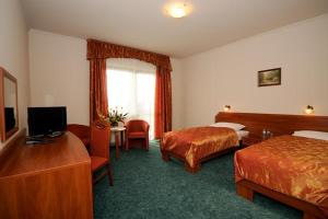 Hoczew的住宿－蠑螈酒店，酒店客房设有两张床和电视。