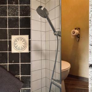 a shower with a shower head in a bathroom at La tanière Dinant in Dinant