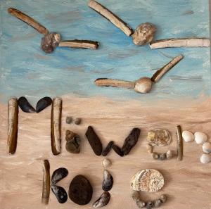 a painting of different types of shells and fossils at Vier JZ Möwenkoje Haus 1 Whg 4 in Großenbrode