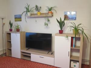 centrum rozrywki z telewizorem i roślinami w obiekcie Apartman Hruba Skala w mieście Hrubá Skála