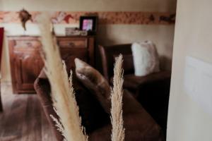 a living room with a couch and a table at La tanière Dinant in Dinant