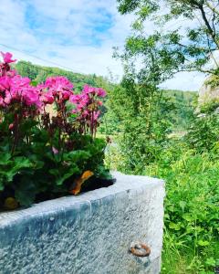 a bunch of pink flowers on a stone ledge at La tanière Dinant in Dinant