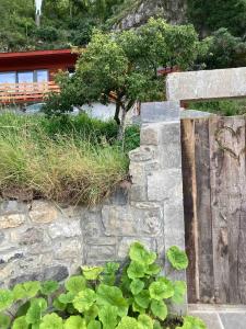 a stone wall with a tree on top of it at La tanière Dinant in Dinant