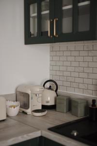 a kitchen counter with a toaster and appliances on it at Bear's Apartment 2 Alba Iulia in Alba Iulia