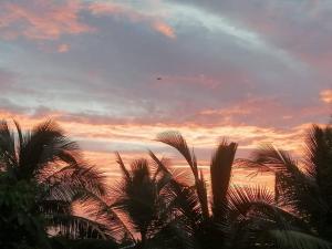 a sunset with palm trees and a plane in the sky at Le Petit Hotel & Restaurant in Negombo