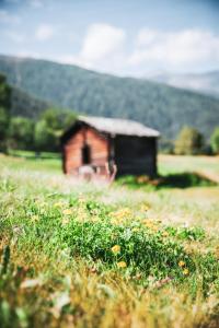 Paesaggio naturale nelle vicinanze dell'hotel