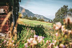 Paesaggio naturale nelle vicinanze dell'hotel