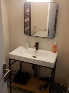y baño con lavabo y espejo. en Appartement vue mer Port Vendres Collioure direct crique wifi, en Port-Vendres