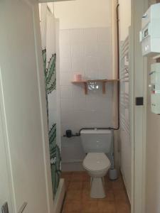 グルノーブルにあるCap Grenobleの小さなバスルーム(白いトイレ付)
