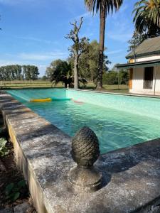 a swimming pool with a statue in the foreground at Centro Ecuestre Frasco Chico in Lobos