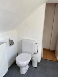W pokoju znajduje się łazienka z białą toaletą. w obiekcie Logies Villa Maxim w mieście Koksijde
