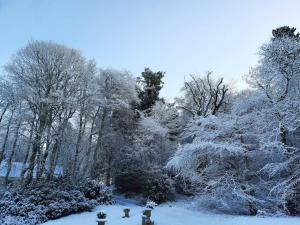 um grupo de árvores cobertas de neve com bocas de incêndio em West Wing Lickleyhead Castle em Auchleven